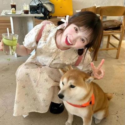 与鲨鱼游弋