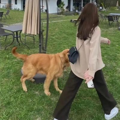 钟无艳粤语